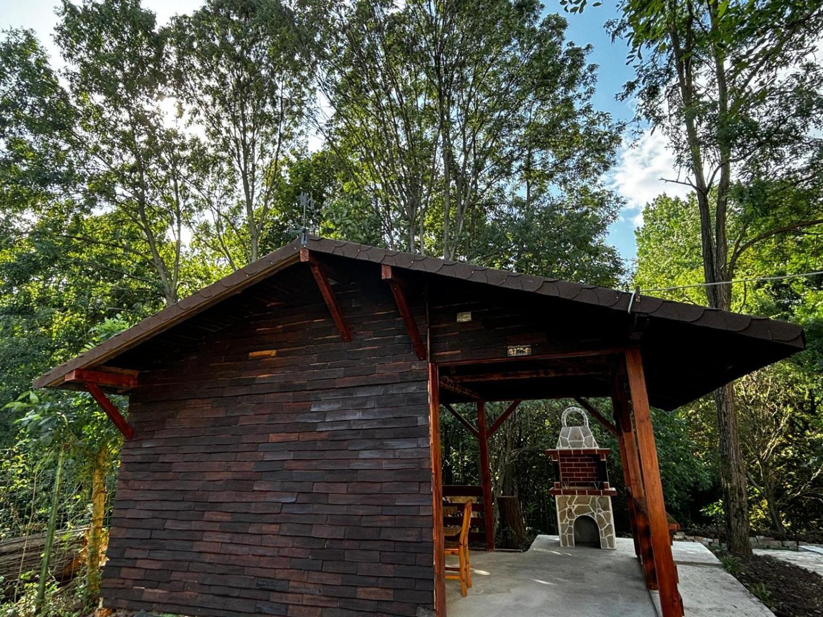 Вилла Casa Cu Padure Бряза Экстерьер фото